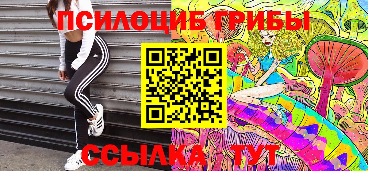 Псилоцибиновые грибы Psilocybe  Вход с VPN  Реутов 